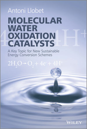 Llobet book.jpg