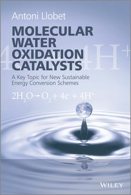 Llobet book.jpg